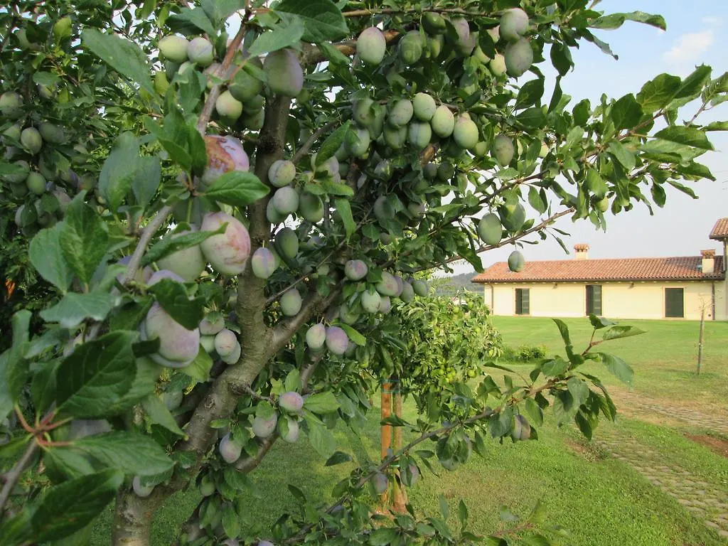 B&B Il Filo' Valeggio sul Mincio